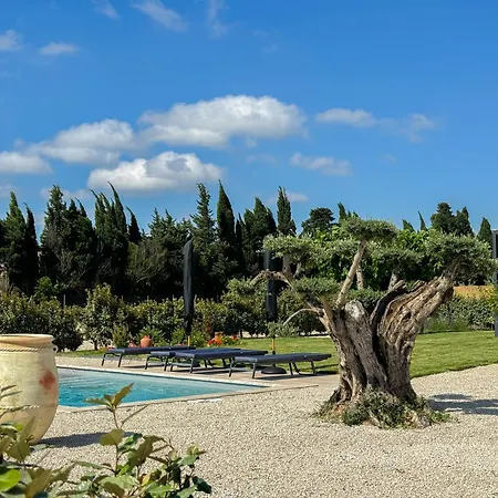Les Plaines En Provence Villa Maillane